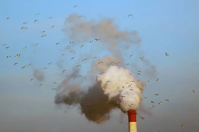 "Zemlja pati": 13. Međunarodna izložba fotografije "Ekološka istina"