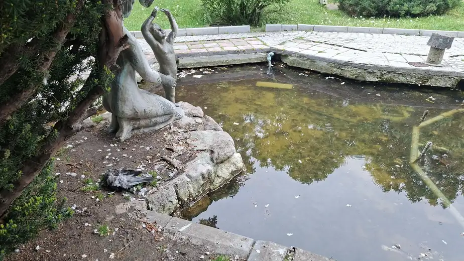 Fontana u centru Zaječara zapuštena: prljavština i mrtav golub u vodi
