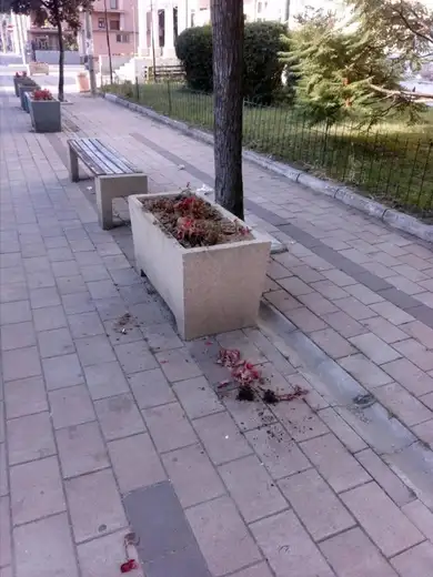 Vandalizam "cveta": Ima li kraja divljanju vandala?