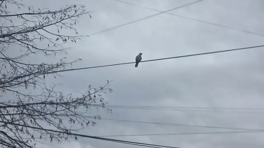 Vremenska prognoza: Pretežno oblačno, povremeno mogući kratkotrajni pljuskovi