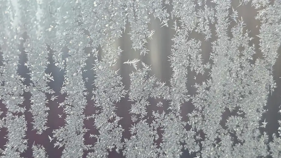 Vremenska prognoza: Tokom prepodneva moguće prve pahulje