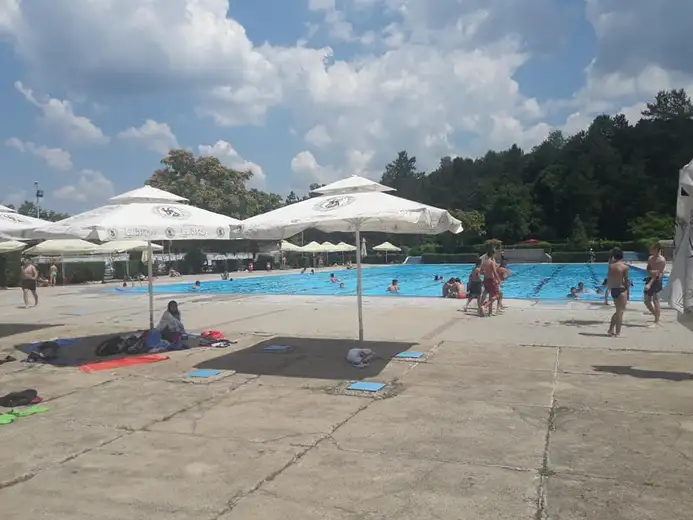 Danas počinje škola plivanja!