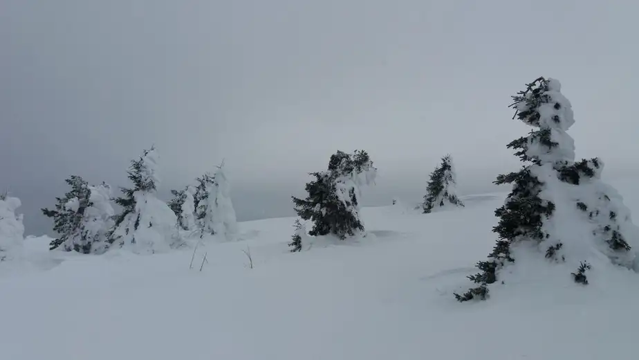 Zaječarski planinari minulog vikenda na Beljanici