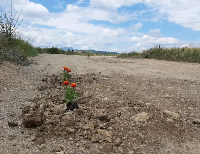 Dubočane: Na saniranom putu "izniklo" cveće