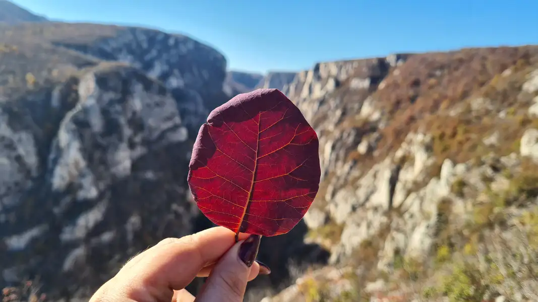 Danas ujutru mraz, tokom dana sunčano