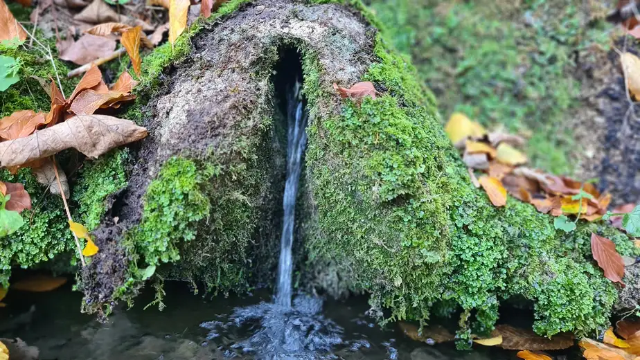 Vremenska prognoza: Nedeljni miks oblaka, Sunca i kišeše