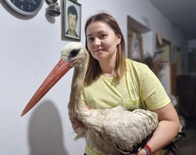 Ana i Milan staraju se o rodi nastadaloj u nevremenu