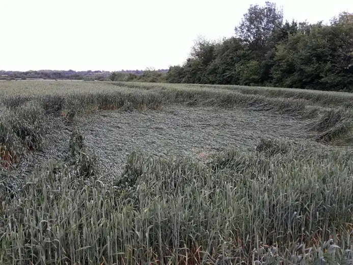 Nevreme praćeno gradom i jakom kišom izazvalo kolaps!