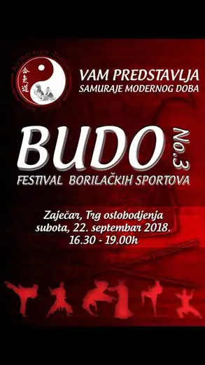 Treći Festival borilačkih sportova održaće se u subotu na gradskom trgu!