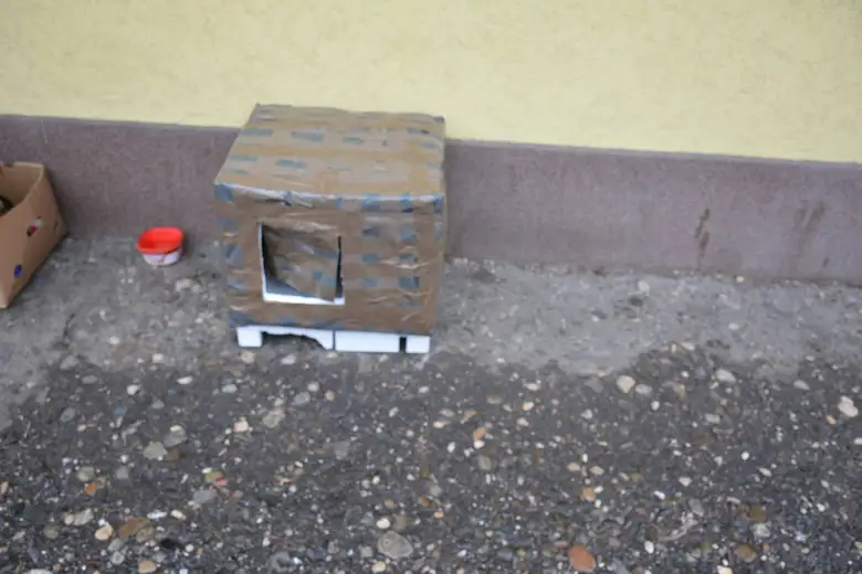 Pomozite napuštenim psima: Kućice od stiropora za topliju zimu