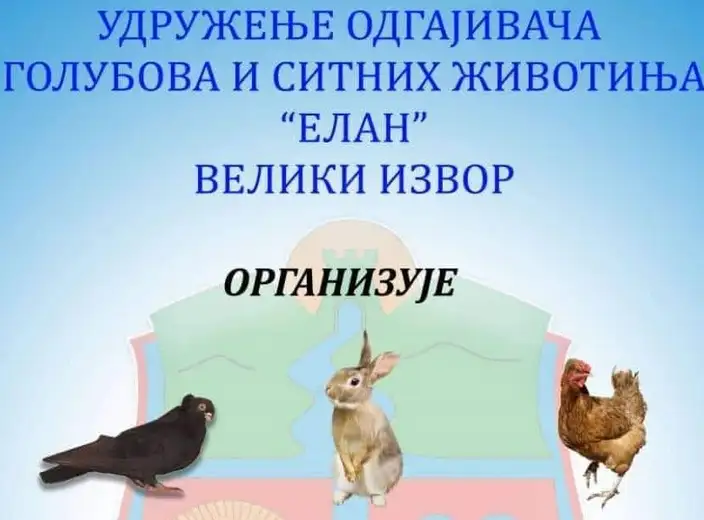 Izložba golubova i sitnih životinja u Velikom Izvoru