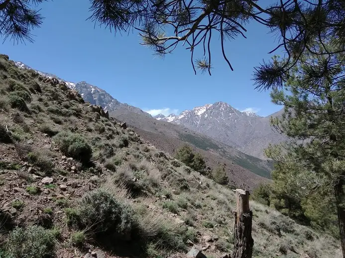Zaječarski planinar stigao u Maroko - sutra kreće ka vrhu Atlasa!