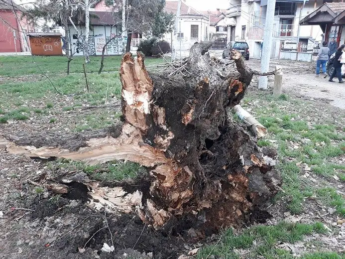 Noćašnje nevreme u pojedinim delovima grada izazvalo dar - mar!