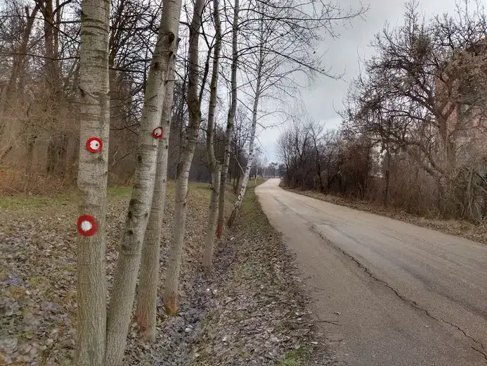 U Srbiji danas promenljivo vreme, temperatura do 18 stepeni: U Zaječaru 10 stepeni