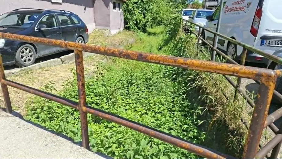 Jaruga kod PU u Zaječaru ponovo u katastrofalnom stanju: Samo fale zmije i pacovi