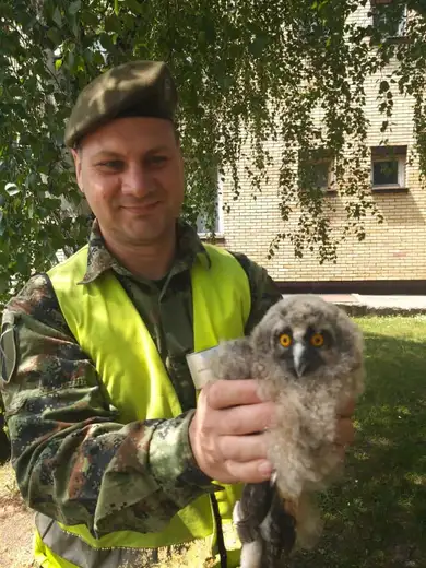 Spašeno mladunče sove u kasarni "Nikola Pašić"