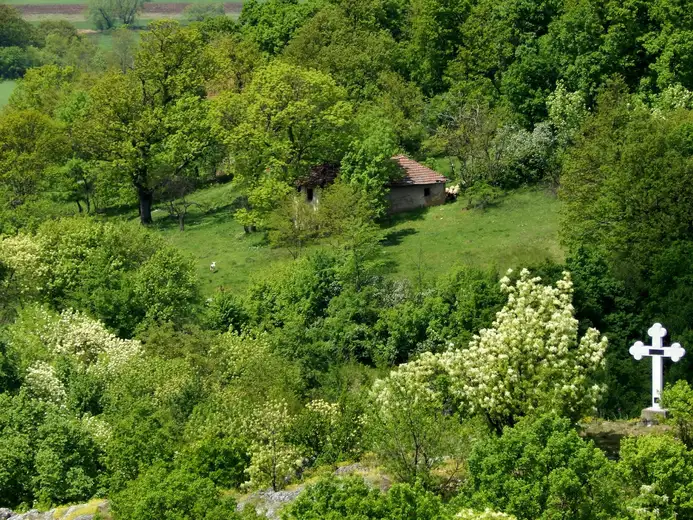 Prepušteno zubu vremena: Zaboravljeni manastir u klisuri Vlaški Do