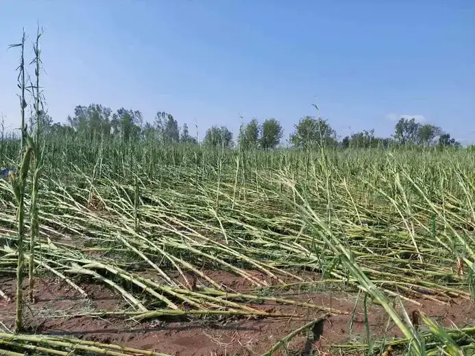 Veliki izvor: Život se polako vraća u normalu, šteta u ovom momentu nesaglediva