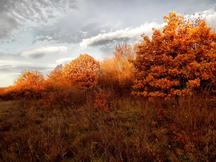 Vremenska prognoza za nedelju 28. oktobar
