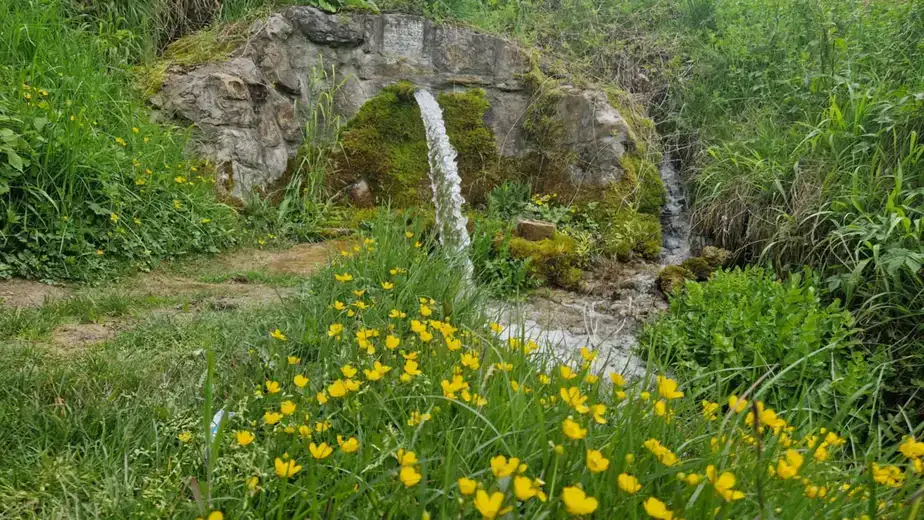 Zaječar stazama održivosti: Zaječar i okolina stanište su brojnih ugroženih, retkih, reliktnih i endemskih biljnih vrsta
