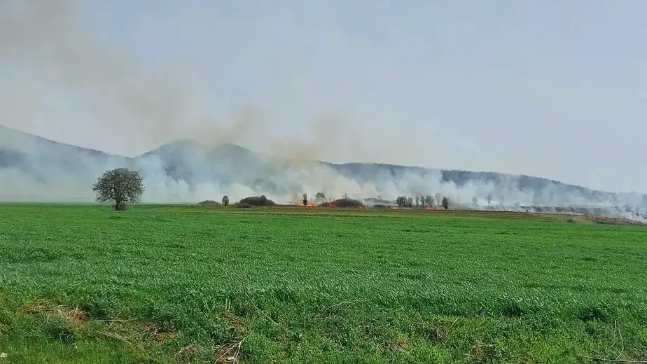 Požar kraj puta između Malog Izvora i Selačke: Vatrena stihija širi se zbog jakog vetra