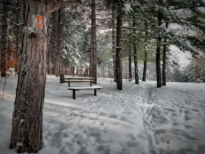 RHMZ upozorava na sneg: Kada se očekuje toplije vreme?