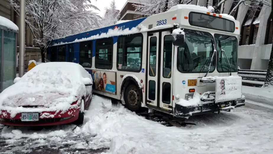 NEPROHODNI PUTEVI DO POJEDINIH ZAJEČARSKIH SELA: Autobusi jutros nisu vozili do Tabakovca, ali ni do…