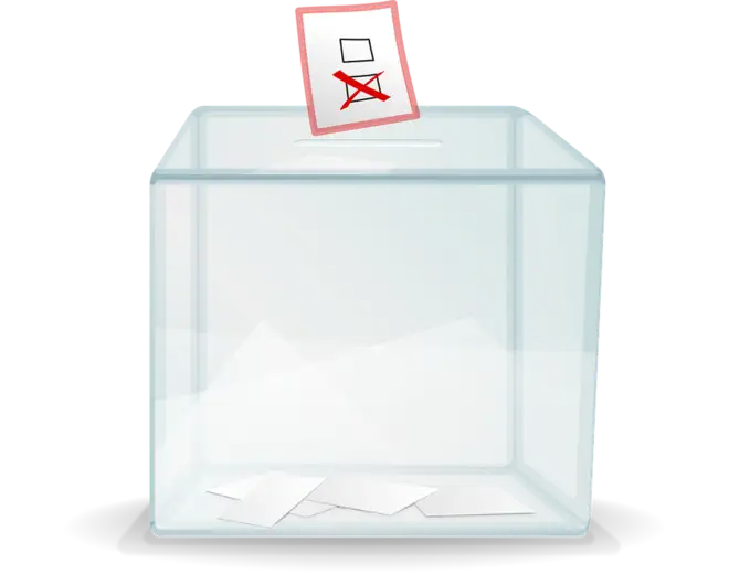 Čemu služi referendum ?