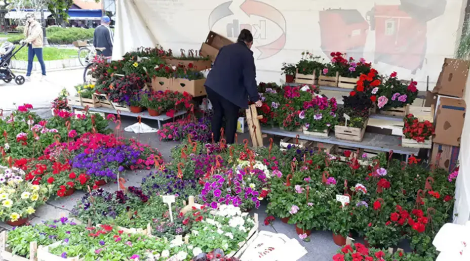 Osmomartovski bazar na gradskom trgu od ponedeljka