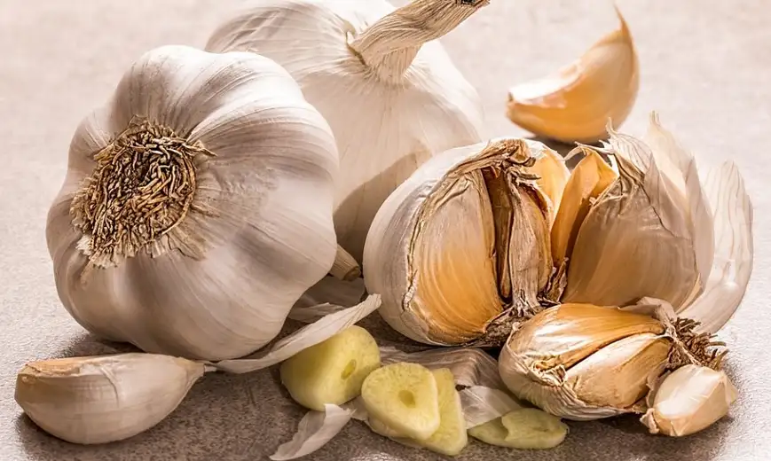 Beli luk jeste zdrav, ali kako da se rešimo njegovog mirisa?