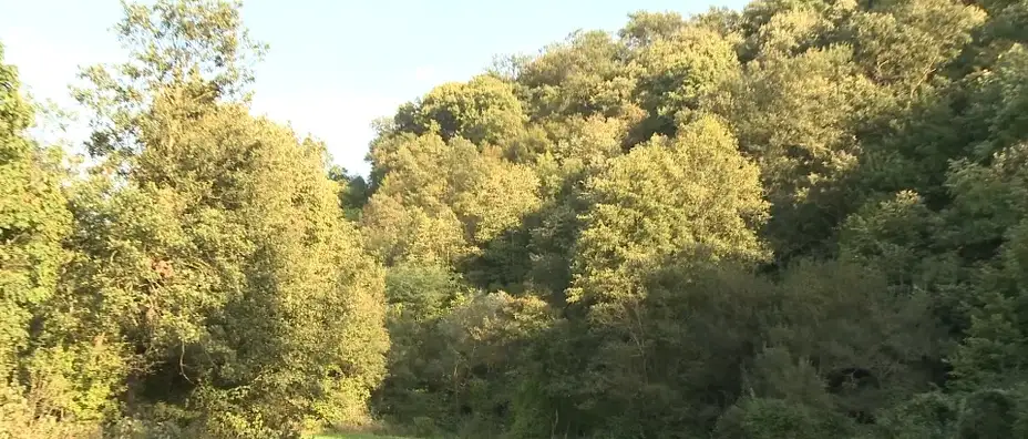 U carstvu poskoka: Bezdanicu pohode lovci na blago i ljubitelji sremuša