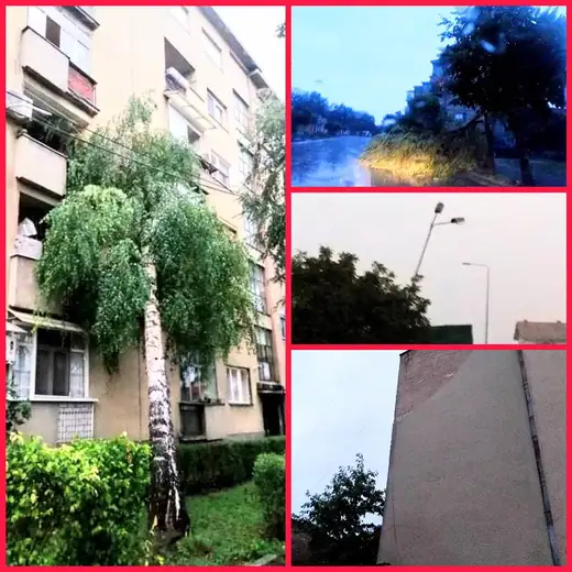 Nevreme zadalo nevolje Zaječarcima: Ekipe na terenu saniraju štetu