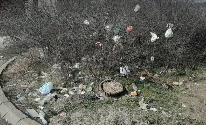 Smetlište na uglu Kozaračke i Bregalničke ulice u naselju Kotlujevac