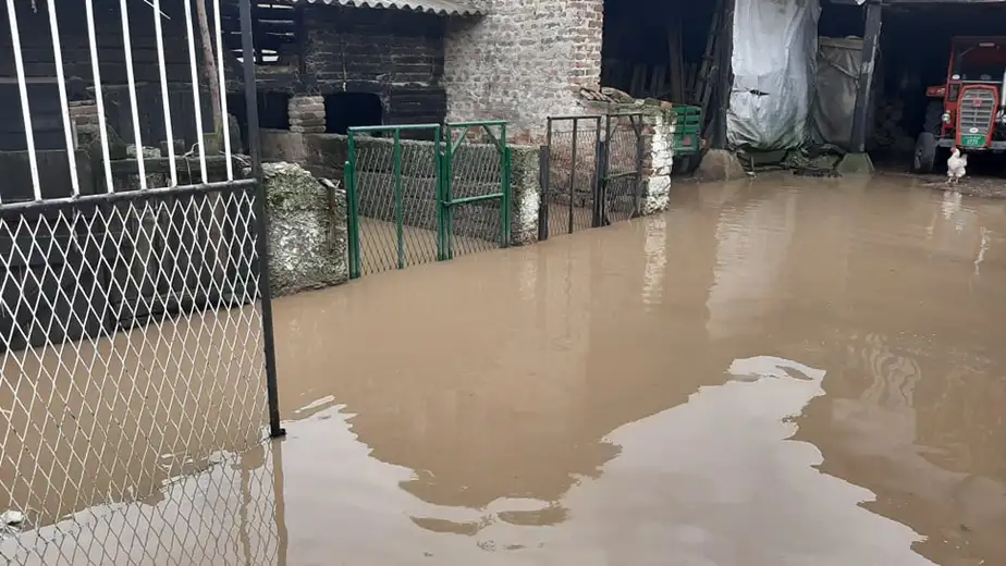Vražogrnac ponovo pod vodom: mnoga domaćinstva posle jačeg pljuska potopljena