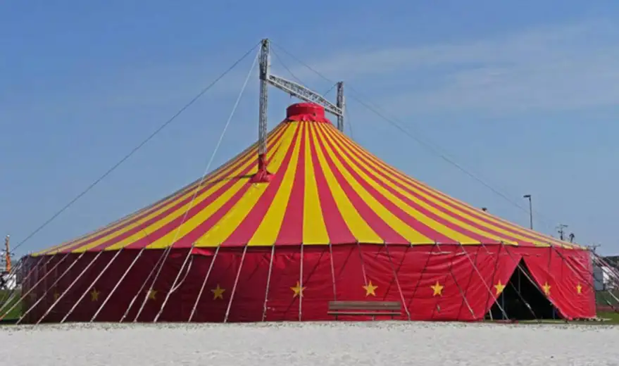 U Zaječaru danas gostuje cirkus „Medžik kondor“