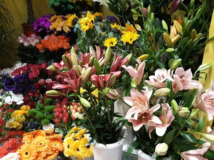 Nova cvećara "Gaga" daruje naše čitaoce!