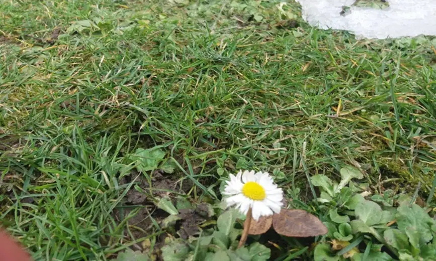 Zbogom zimo: Stiglo je proleće (FOTO)