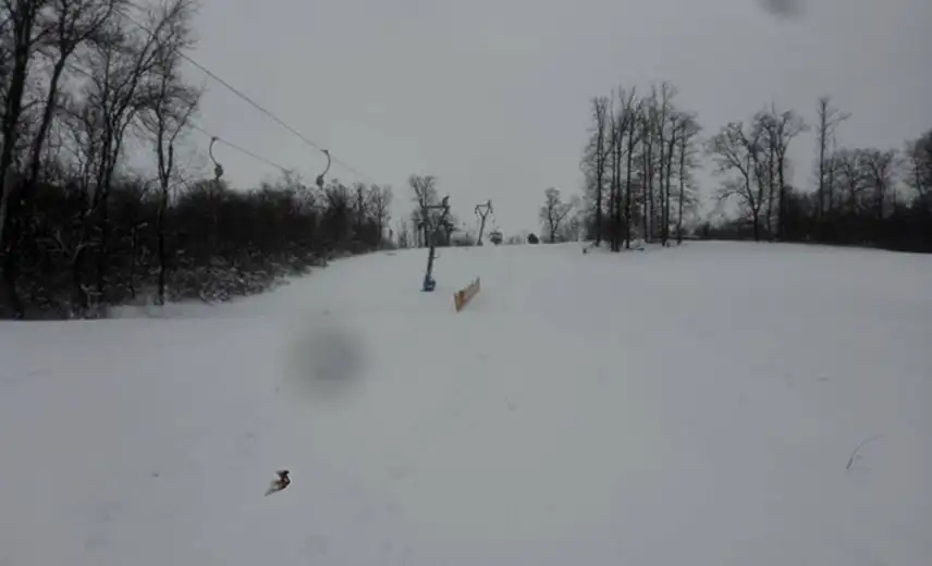 Napredna logika: Jedni nemaju stazu, drugi nemaju radnike