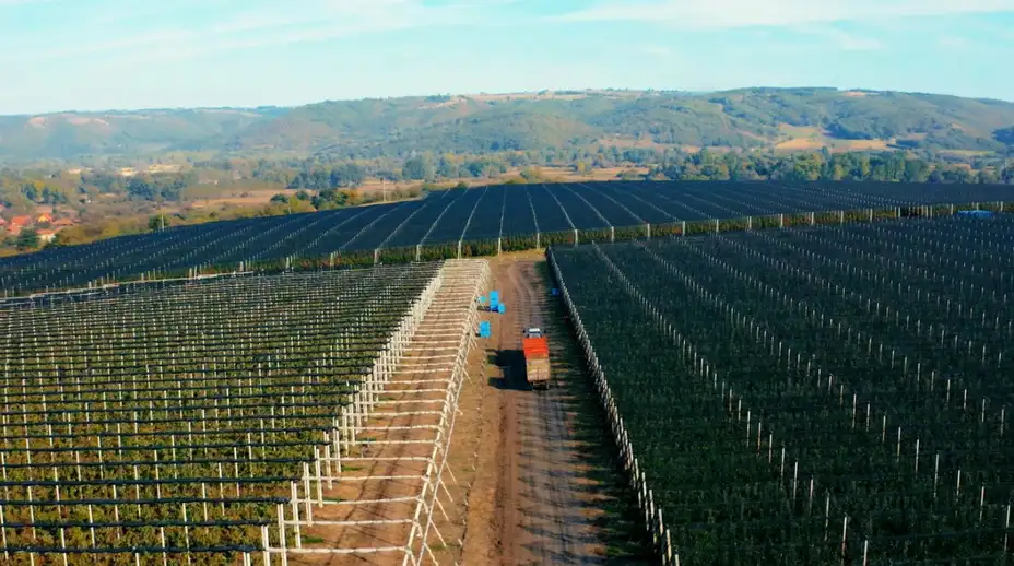 Delta Agrar zapošljava u Zaječaru