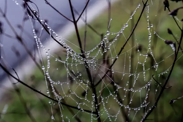 Vremenska prognoza za sredu 15. januar