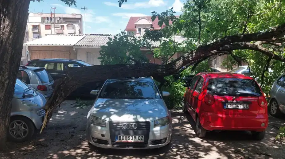 Pukla grana u centru Zaječara: Oštećena dva vozila