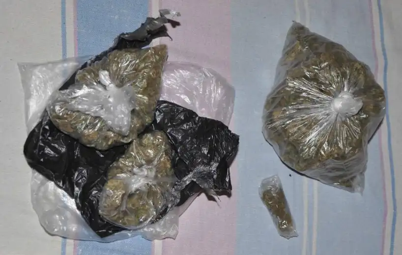 Otac i sin iz Zaječara uhapšeni: Policija pronašla 103 grama marihuane, vagicu i tablete