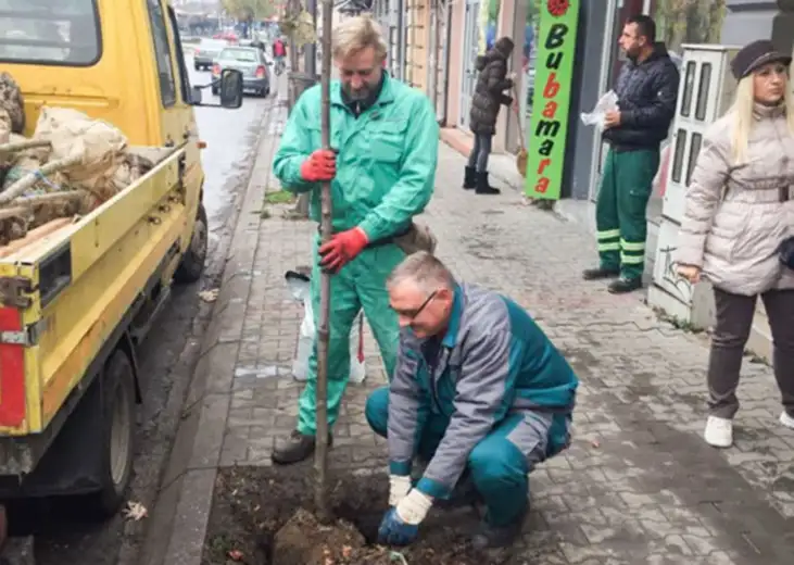 Raspisana Javna nabavka za drvenaste sadnice za prolećnu sadnju