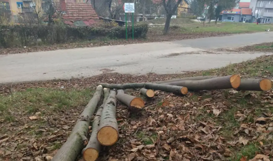 Grad Zaječar dodeljuje jednokratnu pomoć u ogrevu izbeglim i interno raseljenim licima