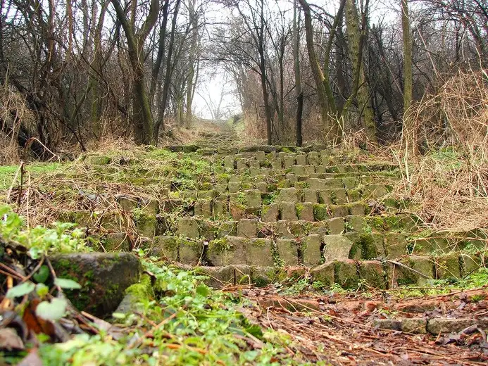 Akcija sređivanja "Rimskih stepenica" na Kraljevici