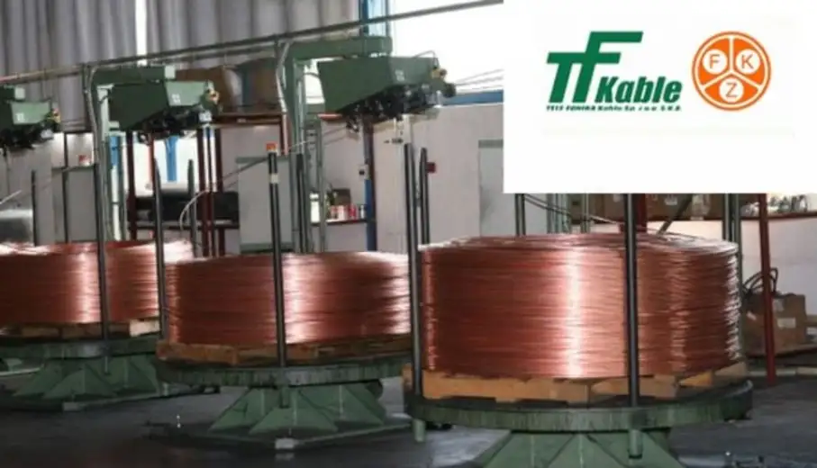 Usled nedostatka posla i ekonomske krize, Fabrika kablova Zaječar privremeno obustavila rad