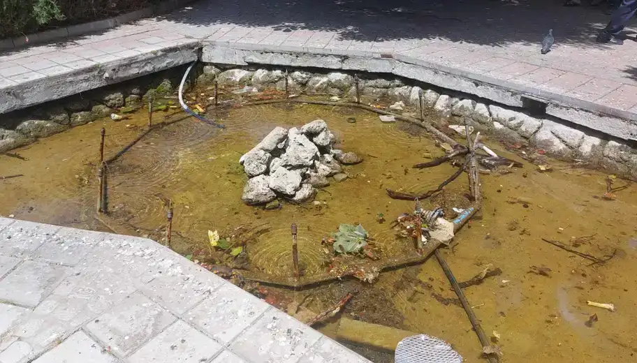 Mrtve ptice plivaju u fontani u Zaječaru