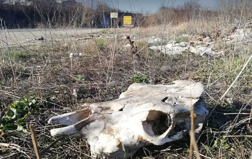 Nova smetlišta svakodnevno niču: Đubre na parkingu pored fabrike "Kablova"