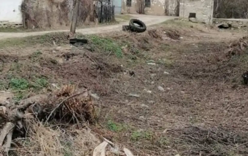 Šarena laža sa Grliškog jezera: Predizborne obmane Nelija Nikolića?