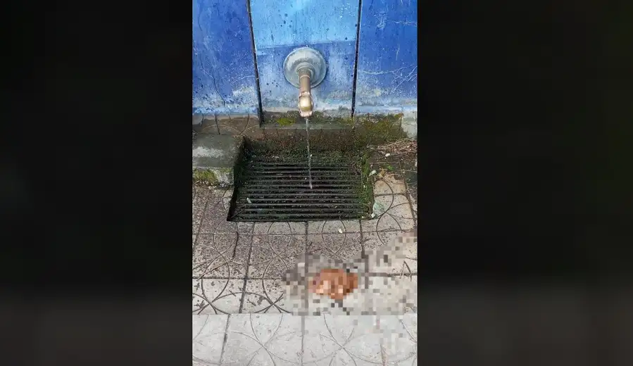 Zaječarce kod Tackove česme sačekalo (ne)prijatno iznenađenje